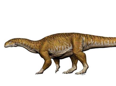  Первый гигантский динозавр Ingentia prima
